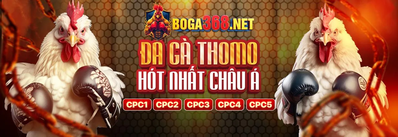 Đá gà trực tiếp tại zv99 với chất lượng HD
