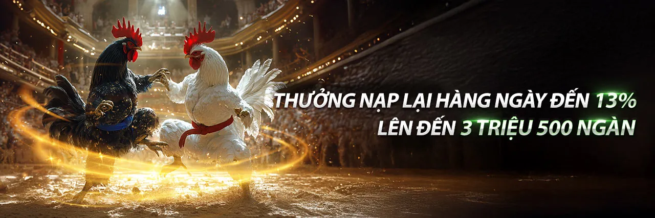 Giao diện ứng dụng zv99 trên điện thoại di động